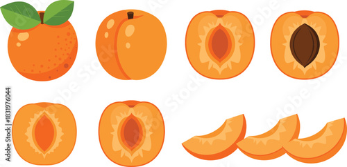 Cartoon Apricot Fruit Collection with Whole Halves and Sliced Pieces Colorful Flat Vector Illustration Set