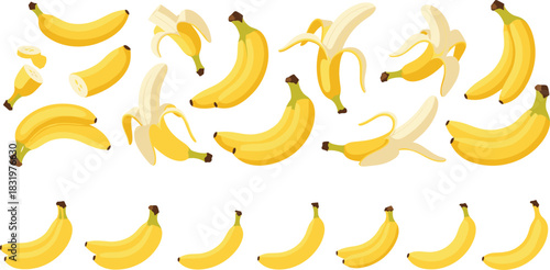 Cartoon Banana Collection with Whole, Peeled and Cut Bananas Colorful Flat Vector Illustration Set