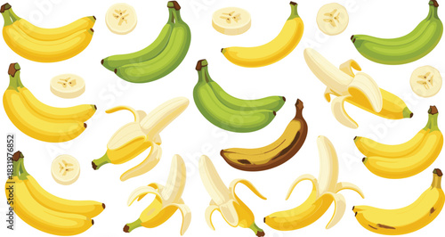 Cartoon Banana Variety Set with Ripe, Unripe, Peeled and Sliced Bananas Colorful Flat Vector Illustration