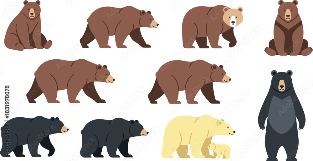 Obraz premium Cartoon Bear Species Collection with Brown Black and Polar Bears Wild Animal Flat Vector Illustration Set