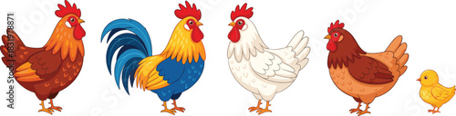Cartoon Farm Chicken Characters with Rooster, Hens, and Chick Colorful Flat Vector Illustration Isolated on White Background