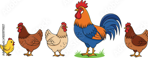 Cartoon Farm Rooster and Hen Set with Chick Colorful Flat Vector Illustration Isolated on White Background