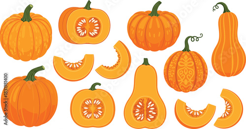 Cartoon Pumpkin and Squash Collection with Whole Halved and Sliced Vegetables Autumn Harvest Colorful Flat Vector Illustration Set