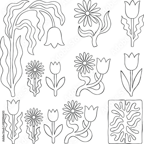 Hand Drawn Flower Icons Botanical Line Art Floral Design Collection