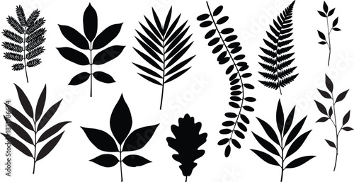 Leaf Silhouettes Botanical Foliage Nature Plant Design Collection