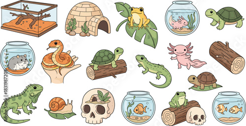 Cute Exotic Pet Bundle Vector Illustration Set Featuring Reptiles, Amphibians, and Small Mammals with Terrariums, Tanks, and Accessories