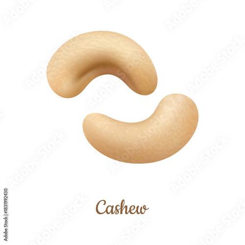 Cashew, isolated realistic kernels. Vector vegan dairy substitute. Roasted or raw nuts for balanced dieting and nutrition. Organic and natural product for eating. Supplements and snack