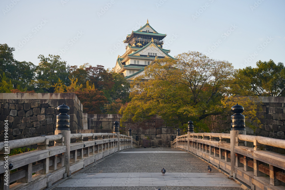 Obraz premium Osaka Castle, Osaka, Japan