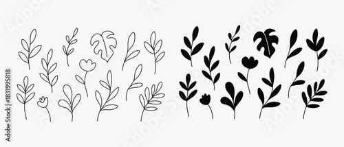 Botanical floral design elements in minimalist vector style illustration