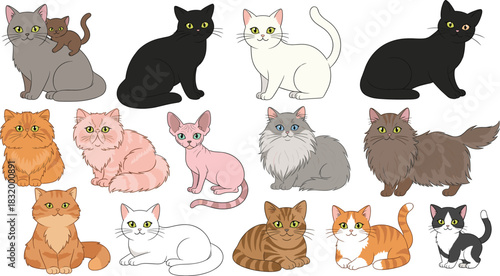 Realistic Cat and Kitten Breed Vector Illustration Collection Featuring Persian, Sphynx, Maine Coon, and Tabby Cats for Pet Shop or Veterinary Design