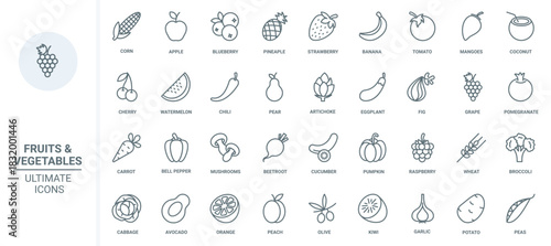Fruit and vegetables thin line icons set vector illustration. Outline fresh food collection with apple strawberry banana tomato cherry coconut watermelon cabbage avocado potato olive pomegranate