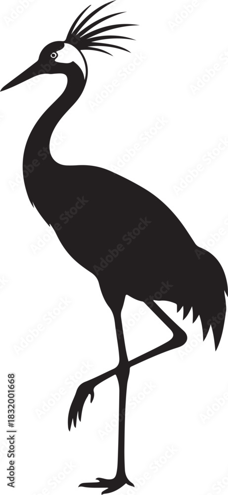 Fototapeta premium Black crowned crane silhouette standing on one leg elegantly
