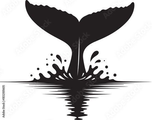 Black and white whale tail with splash of water
