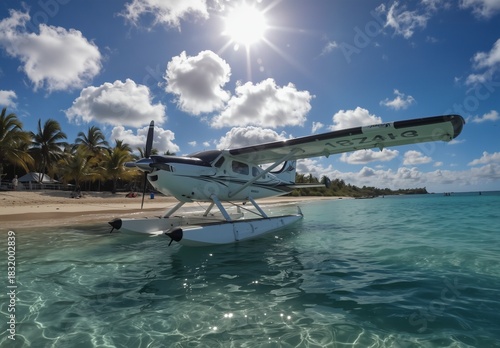 Fototapeta Naklejka Na Ścianę i Meble -  tropical aerial view of a seaplane on turquoise water with palm trees and a white sand beach under a bright blue sky.
