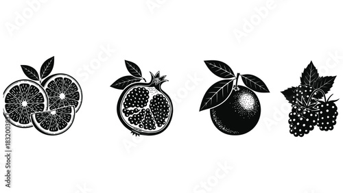 Vector illustration of orange pomegranate blackberry and fruit