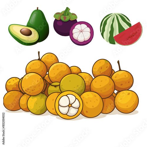 Luscious fruit arrangement including avocado, mangosteen, watermelon and longan berries