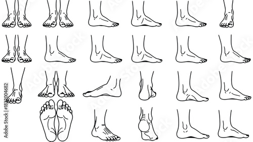 Foot anatomy drawing reference guide for artists and students