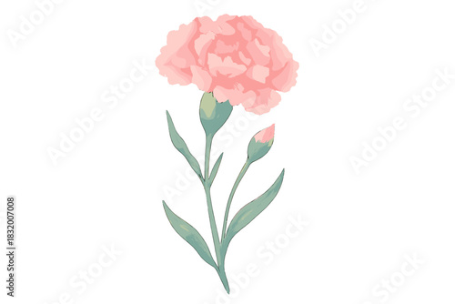 Pink carnation flower with green leaves and buds captured in a simple, elegant design suitable for various decor styles