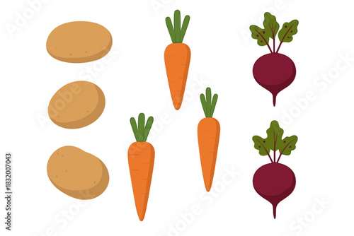 Fresh vegetables including potatoes, carrots, and beets arranged in a colorful pattern on a white background