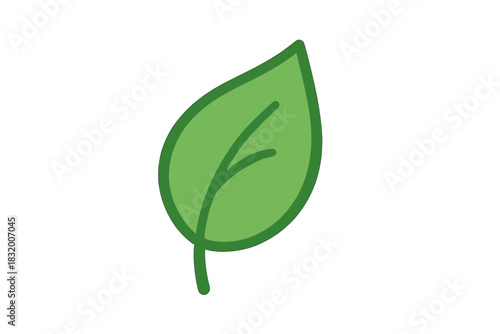 Bright green leaf with clear shape and smooth edges on white background