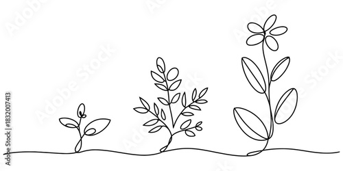 Continuous line art illustration showcasing the full growth progression of a plant, from small sprout to beautiful flowering bloom. Vector, illustration