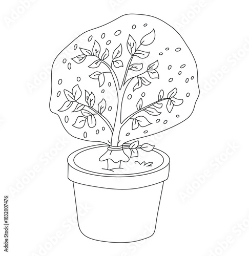 Science of hand drawn vector Transpiration Experiment outline.	
