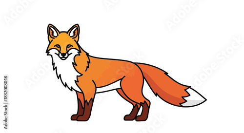 Cartoon fox with orange fur and a white chest standing on a white background