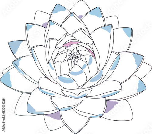 Pastel lotus flower illustration with soft pink and blue gradient petals art
