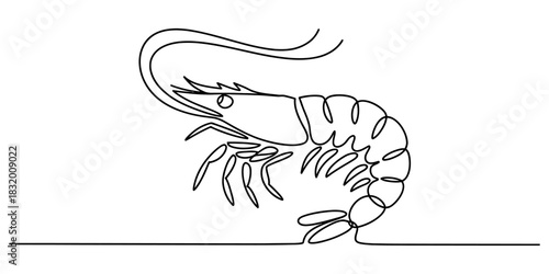 Single continuous line drawing of a shrimp or prawn, marine life illustration, minimalist ocean creature art, seafood icon vector graphic. Vector, illustration
