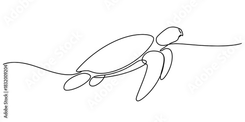 Continuous line drawing of a swimming sea turtle, elegant minimalist ocean animal art, marine life vector illustration on white background. Vector, illustration