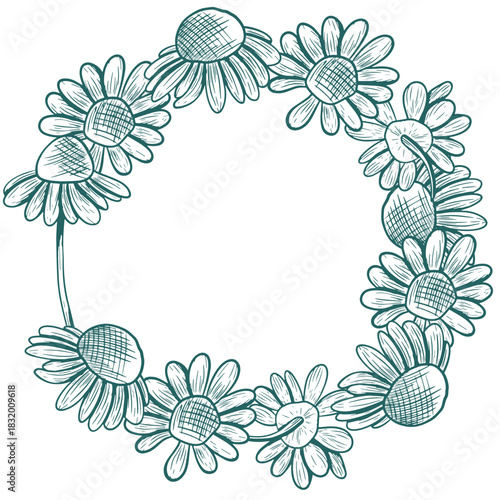 A wreath of daisy flowers with a stem. This vector round wreath is hand-drawn in a graphic style. It features trendy colors. Botanical illustration of flowers.