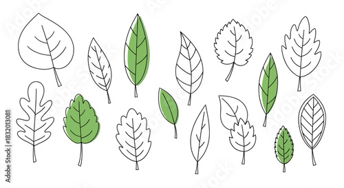 Assortment of hand-drawn leaves in a variety of shapes and styles on white backdrop