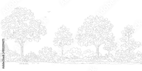 Minimal style cad tree Monochrome forest landscape outline drawing on white background