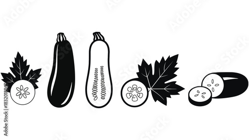 Black and white zucchini and leaves illustration on a white background