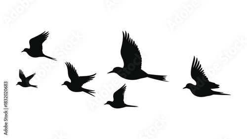Silhouette illustration of a flock of birds flying on a white background