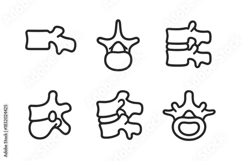 Spinal Anatomy Icons. Spinal Anatomy Set linear icon set: vertebral body, spinous process, intervertebral disc, nerve opening, facet joint, spinal canal