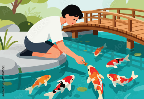 An illustration shows a person feeding colorful koi fish in a pond near a wooden bridge