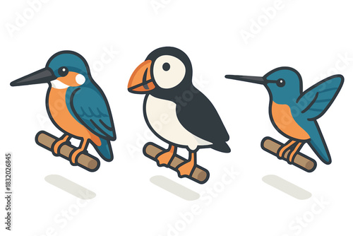 Colorful birds perched on branches, showcasing different species and vibrant designs