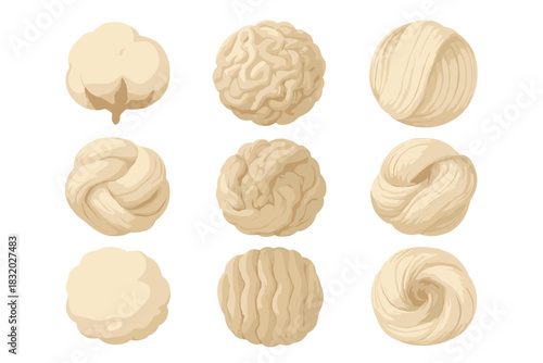 Different textures and shapes of natural fibers displayed in a grid layout for educational purposes