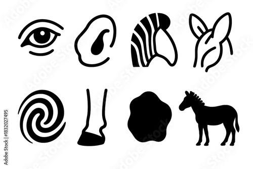Zebra Outline Icons. Zebra Details linear icon set: eye highlight, nostril shape, mane curve, ear fold, stripe swirl, hoof edge, shadow patch, silhouette