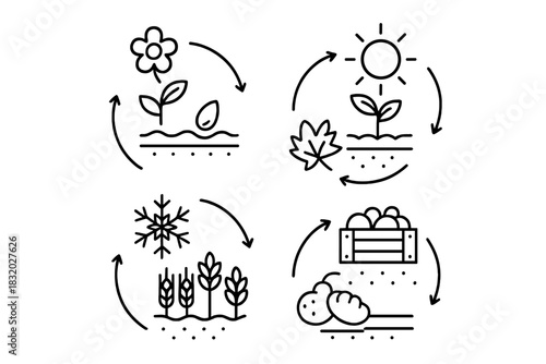 Cycle of plant growth and seasonal changes represented through simple line drawings