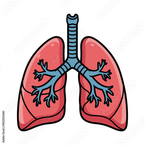 Anatomical lung illustration depicting respiratory system for educational medical purpose