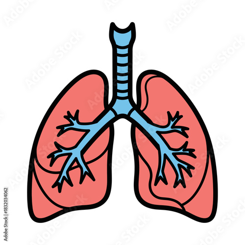 Stylized lung illustration depicting respiratory system health and anatomical structure