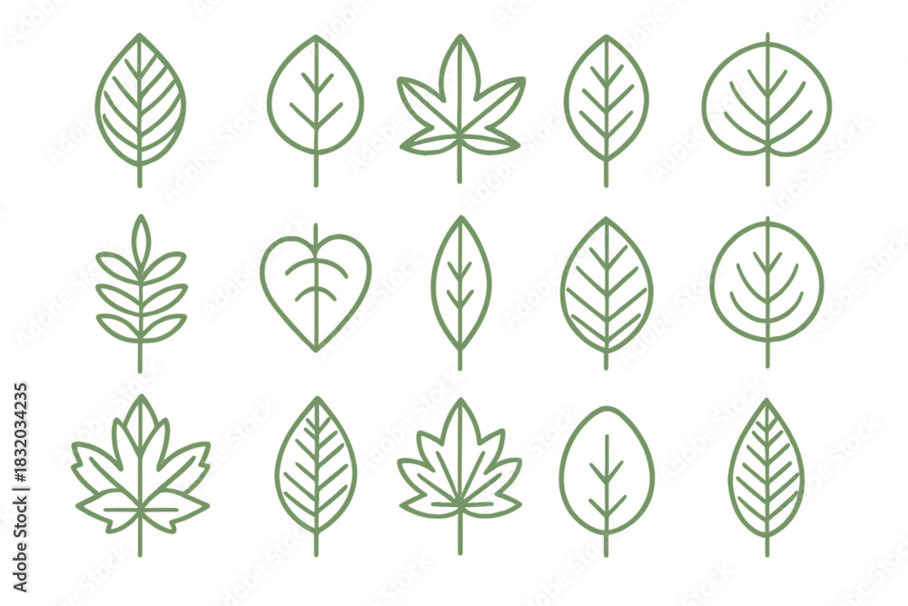 Fototapeta premium Various leaf designs showcasing different shapes and types in a simple line art style