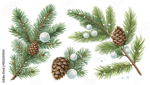 Christmas watercolor illustration of fir branches adorned with pine cones and snowballs design
