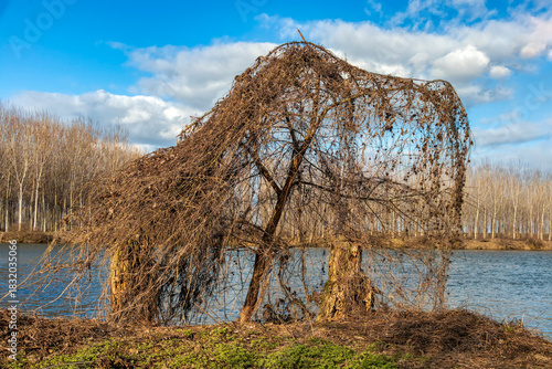 autunno inoltrato sul fiume