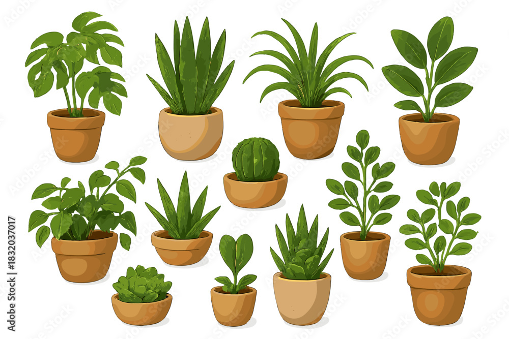 Fototapeta premium Variety of indoor plants displayed in terracotta pots with vibrant green leaves in a simple arrangement