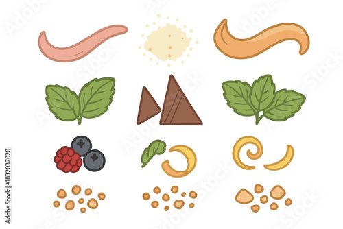 Colorful collection of various food items including fruits, herbs, and snacks arranged artistically on a white background