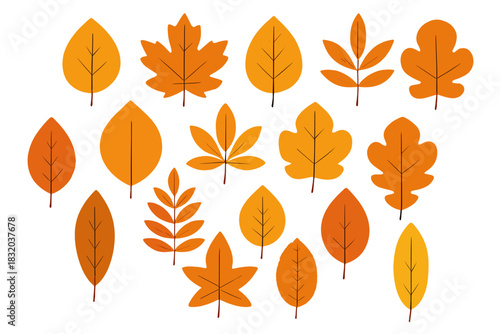 Various autumn leaves in warm shades of orange and yellow captured in a colorful display