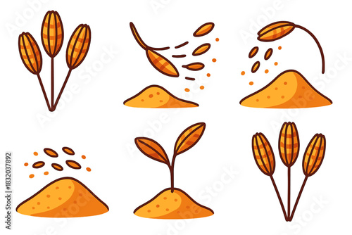 Wheat cultivation process showing grain, planting, and sprouting stages with colorful illustrations